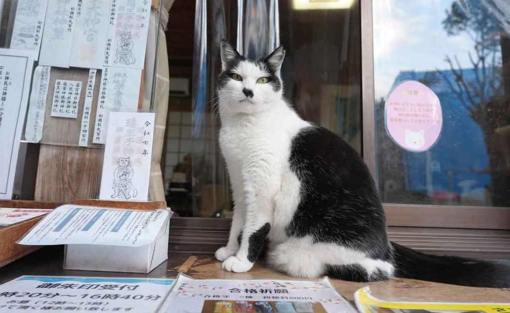 ⛩️ 왕자 신사 (오지 진자)